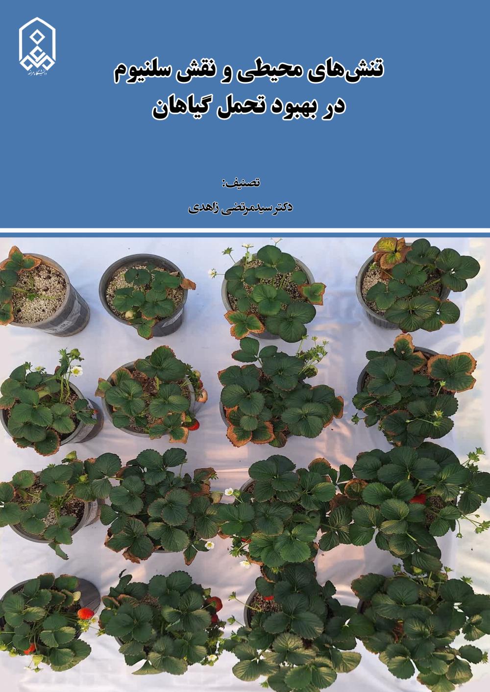 تصویر کوچک