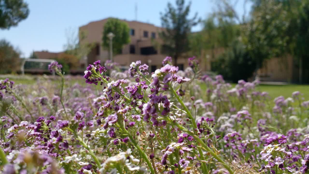 نمایی از ساختمان دانشکده